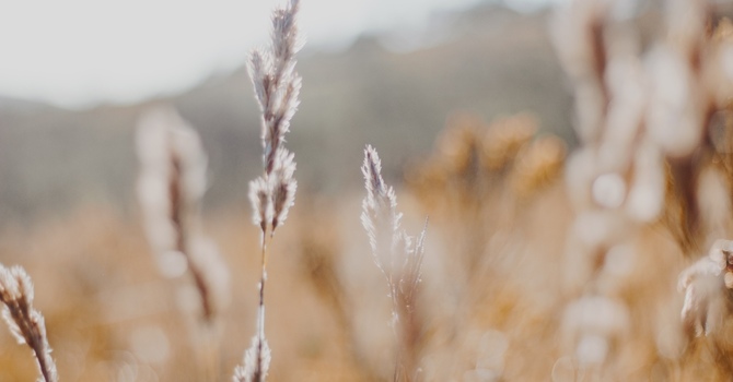 What's Going On When Your Hips Are Making Noise? image