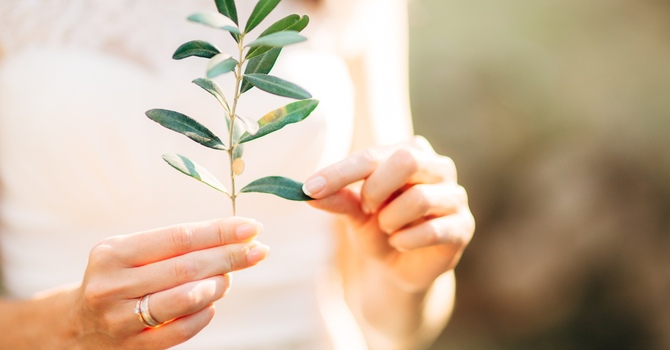 Ice Or Heat, Which Is Better When You're Hurt?