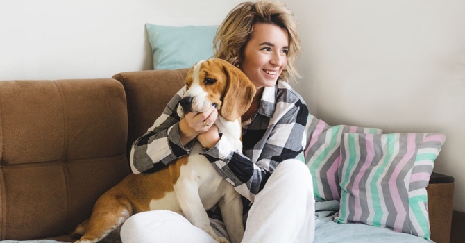 Counselling Services